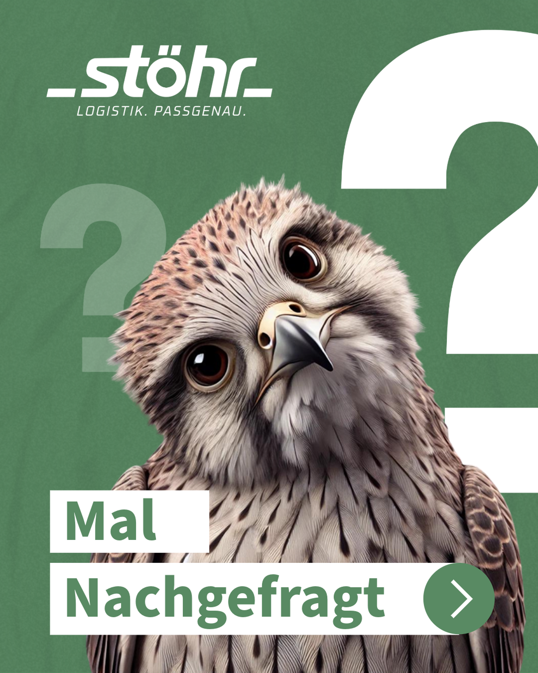 Mal Nachgefragt: Cover mit Falke